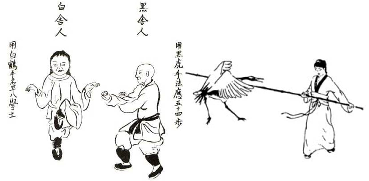 A line drawing illustrating postures of the Fujian White Crane style.